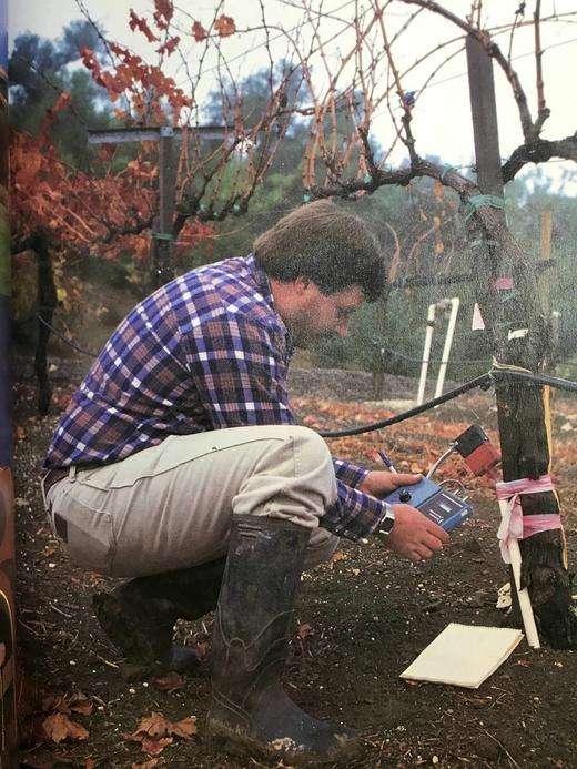 牛津北美红酒指南 16页彩色插图 精装16开 商品图6