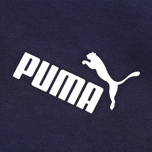 PUMA/彪马 曼城套头连帽休闲运动卫衣男76451603 商品图2