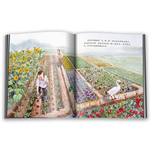 中少阳光图书馆·三颗豆粒一块田 适读年龄3-6岁 商品图5