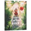 棉花崖上的灯光 英文原版绘本 Lights on Cotton Rock 家庭与梦想 英文版儿童英语睡前阅读故事书 David Litchfield 进口原版书籍 商品缩略图3