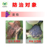 扑海因-异菌脲50%有效预防葡萄灰霉病的发生 商品缩略图1