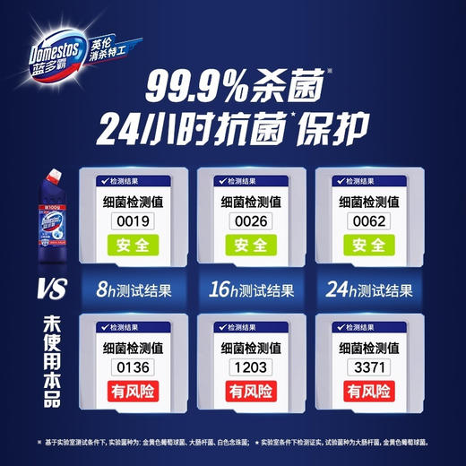 蓝多霸洁厕液600g*2瓶 沧海星光香 商品图1