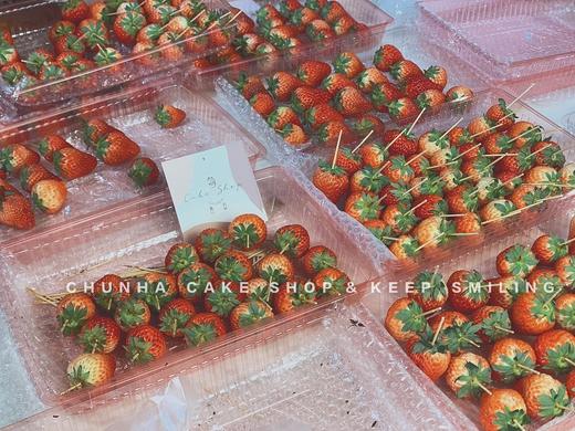 季节限定：草莓礼物🎁 商品图5