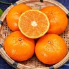 澳柑 商品缩略图0
