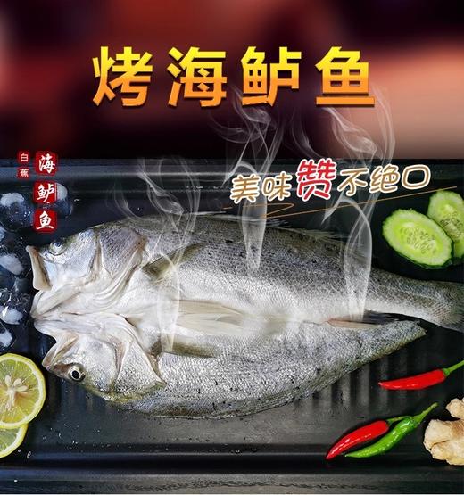 烤鱼/大满通海鲈鱼900克左右/条 商品图1
