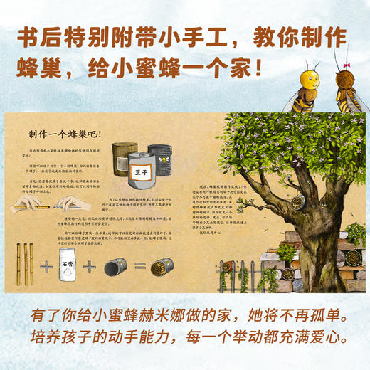 德国环保科普绘本（小蜜蜂+小海豹）（共2册） 商品图9