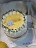 ｜柠檬酪酪🍋｜蛋糕 商品缩略图0