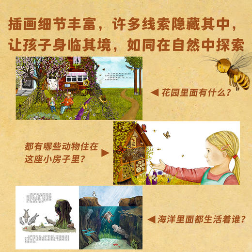 德国环保科普绘本（小蜜蜂+小海豹）（共2册） 商品图8