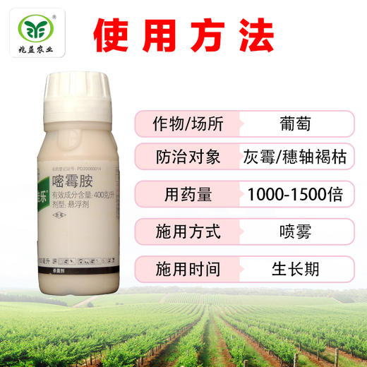 施佳乐嘧霉胺 对葡萄灰霉病、穗轴褐枯病防治效果良好。 商品图2