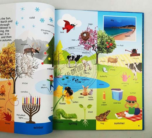 多林金德斯利1000个科学词 英文原版 1000 Words STEM 常用词汇 DK儿童科普英语单词学习书籍 精装 英文版进口原版书 商品图2