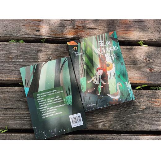 【读书会】《走出黑森林的男孩》《章鱼国小时代--神秘谷追踪》《公羊爸爸 》《 天使的国》（成长有故事系列） 商品图11