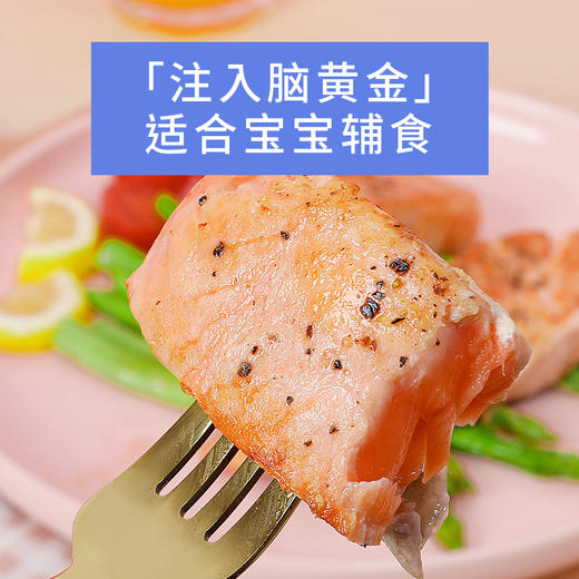 鹿优鲜三文鱼小包装 商品图4