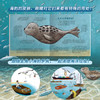 德国环保科普绘本（小蜜蜂+小海豹）（共2册） 商品缩略图7