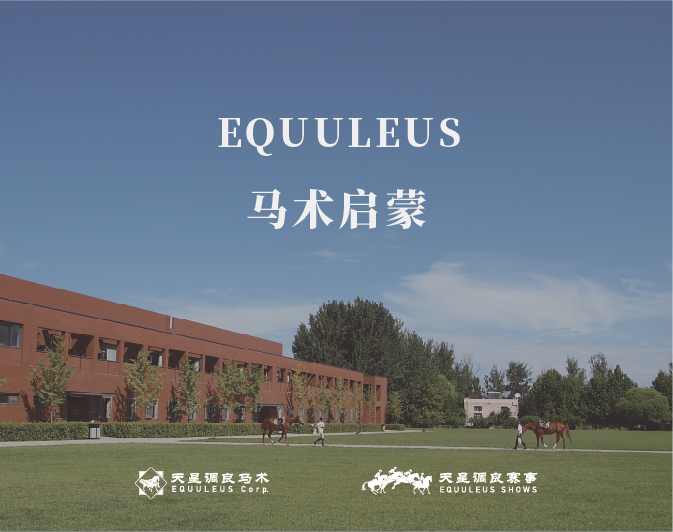 第14集 马匹饲喂与饮水