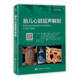 胎儿心脏超声解剖