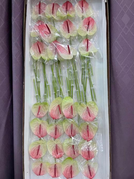 【绿光彩掌】蟠桃/赛菲拉  红间绿掌 商品图3