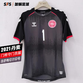 SFS正品 Hummel 2020欧洲杯丹麦门将球迷版球衣 连舒梅切尔印号