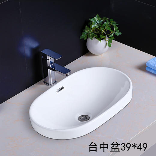 椭圆 台中盆 016   40*60.5 商品图0