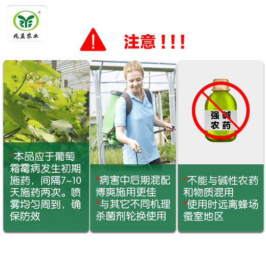 安锁  噁酮·氰霜唑 对葡萄霜霉病有保护和治疗双重保护作用 商品图3