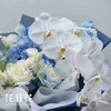 《海蓝》. INS风花束蝴蝶兰（郁金香过季用桔梗替代） 商品缩略图3