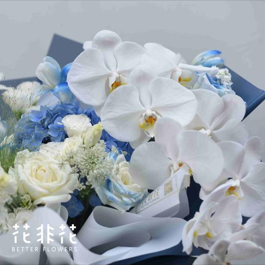 《海蓝》. INS风花束蝴蝶兰（郁金香过季用桔梗替代） 商品图3