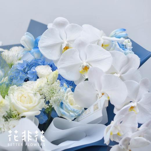《海蓝》. INS风花束蝴蝶兰（郁金香过季用桔梗替代） 商品图2