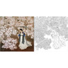王美芳工笔传统仕女人物白描底稿《海棠枝上问春归》-斗方小品册页-多种白描尺寸可选-B170 商品缩略图0