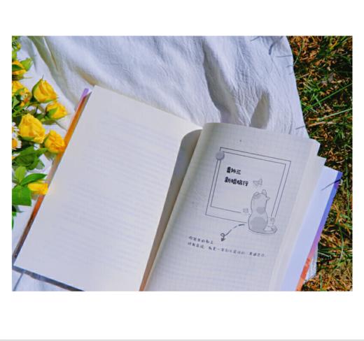 难哄全套（全2册） 商品图3