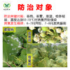 安锁  噁酮·氰霜唑 对葡萄霜霉病有保护和治疗双重保护作用 商品缩略图1