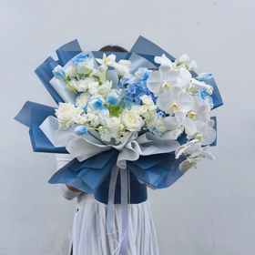 《海蓝》. INS风花束蝴蝶兰（郁金香过季用桔梗替代）