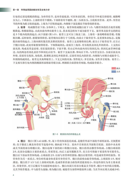 骨盆髋臼周围手术 樊仕才 罗殿中 侯志勇 3D打印辅助截骨治疗 经腹直肌外侧入路治疗骨盆髋臼骨折 人民卫生出版9787117315364 商品图4