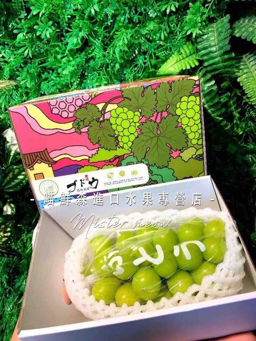 单串🛵香印青提/阳光玫瑰（特级一级） 商品图10