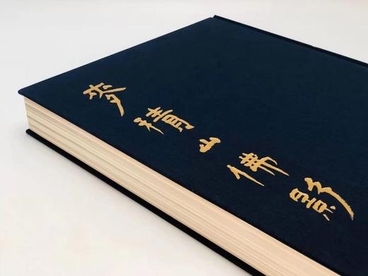 《麦积山佛影》，麦积山石窟艺术研究所编，何鸿主编，大8开布面烫金精装带护封，320页，净重4.42公斤。中国美术学院出版社2018年年8月出版 商品图2