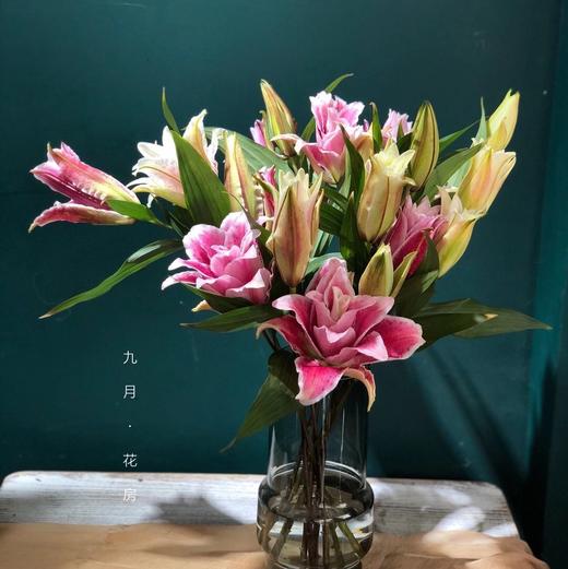 ycpp重瓣百合圆舞曲3头