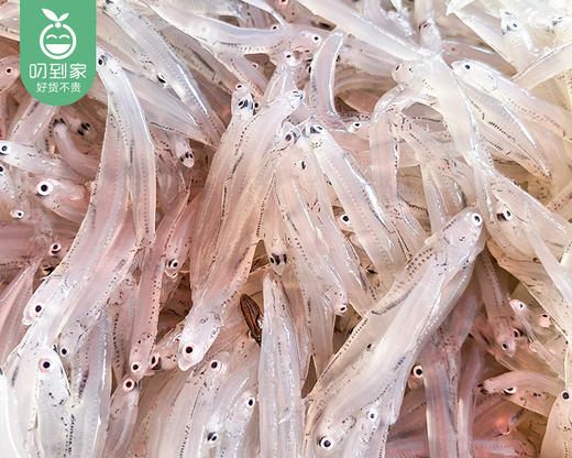 东山岛鲜冻灯捕小银鱼/1盒（约200g） 商品图3