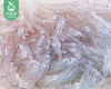东山岛鲜冻灯捕小银鱼/1盒（约200g） 商品缩略图1