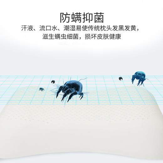 PAPATYA泰国原装进口乳胶枕头 商品图2