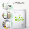 容声(Ronshen)100升 家用小型冰柜 冷藏冷冻转换 迷你冷柜 节能单温冰箱 BD/BC-100MB 商品缩略图3