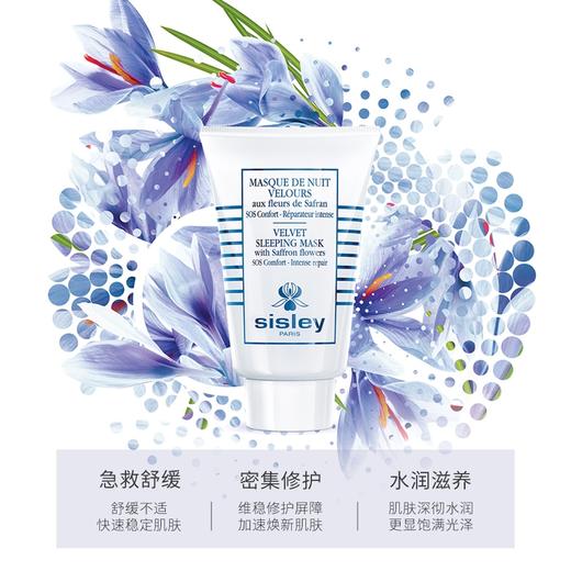 希思黎（SISLEY）藏红花丝绒睡眠面膜60ml 商品图2