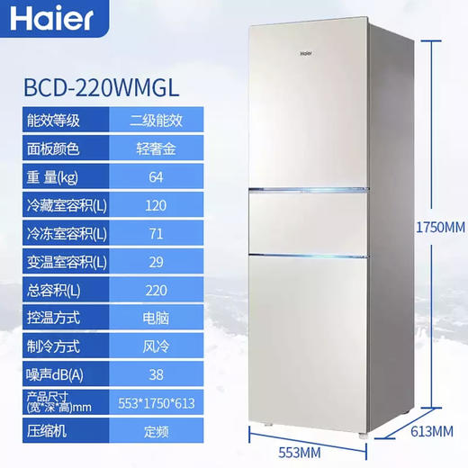 海尔（Haier）冰箱BCD-220WMGL 商品图2