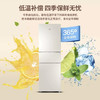 海尔（Haier）冰箱BCD-220WMGL 商品缩略图4