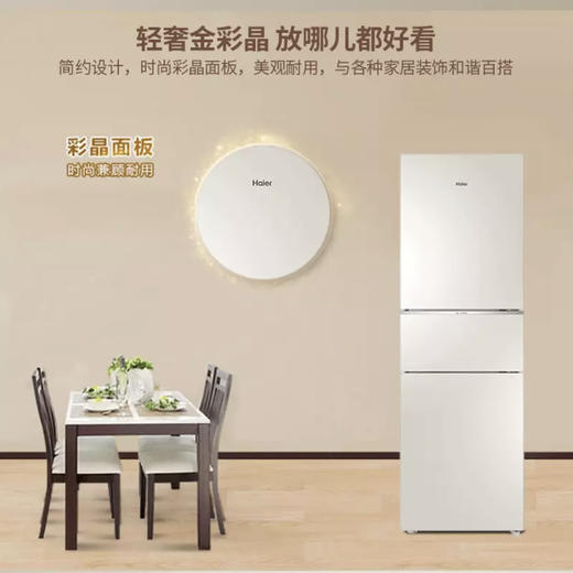 海尔（Haier）冰箱BCD-220WMGL 商品图5