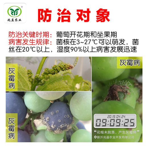 对葡萄灰霉病治疗效果较好， 具有治疗、保护双重作用。腐霉利（禾益） 20% 悬浮剂 商品图1
