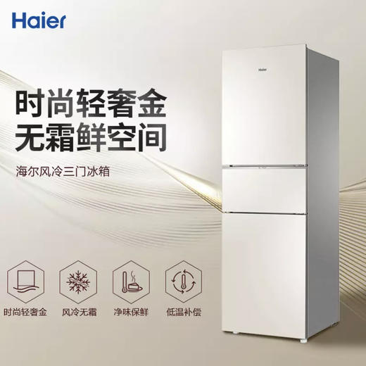 海尔（Haier）冰箱BCD-220WMGL 商品图0