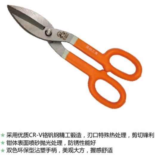 强屻 美式铁皮剪 10寸/250mm 商品图1