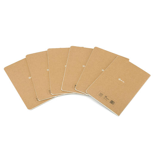 道林记忆法线装生物软抄本DL3016-A1646 商品图6