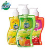 【会员福利】巧白（JOBY）果味洗手液300g*3瓶水果清香温和滋润 商品缩略图0