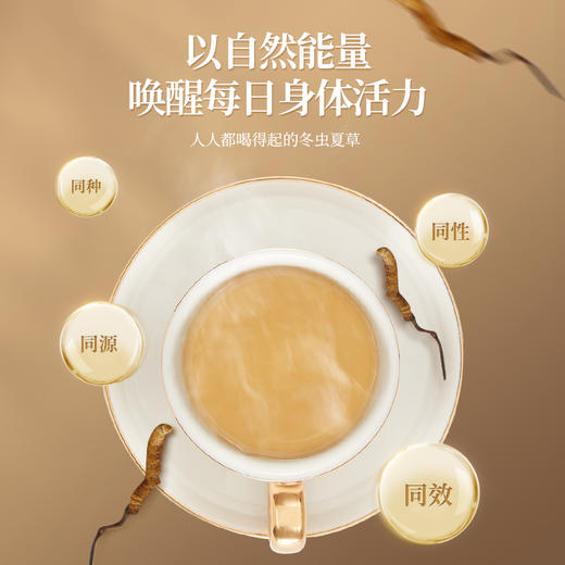 KJ发酵冬虫夏草菌粉2周精气神提升装1g24袋1g36袋 商品图2