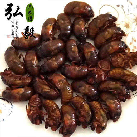农场自产 金蝉 来自食物森林 23个/份 【弘毅六不用生态农场】 商品图1