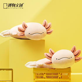 【博物文创】六角恐龙 毛绒 科普蝾螈动物可爱礼物睡觉少女